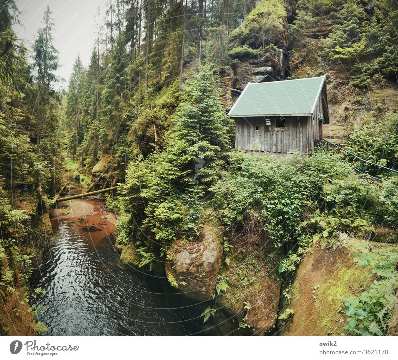 Kirnitzschtal Elbsandstone mountains Saxony Eastern Germany Forest Brook River course hut Canyon Nature Landscape Mountain Rock Exterior shot Hiking