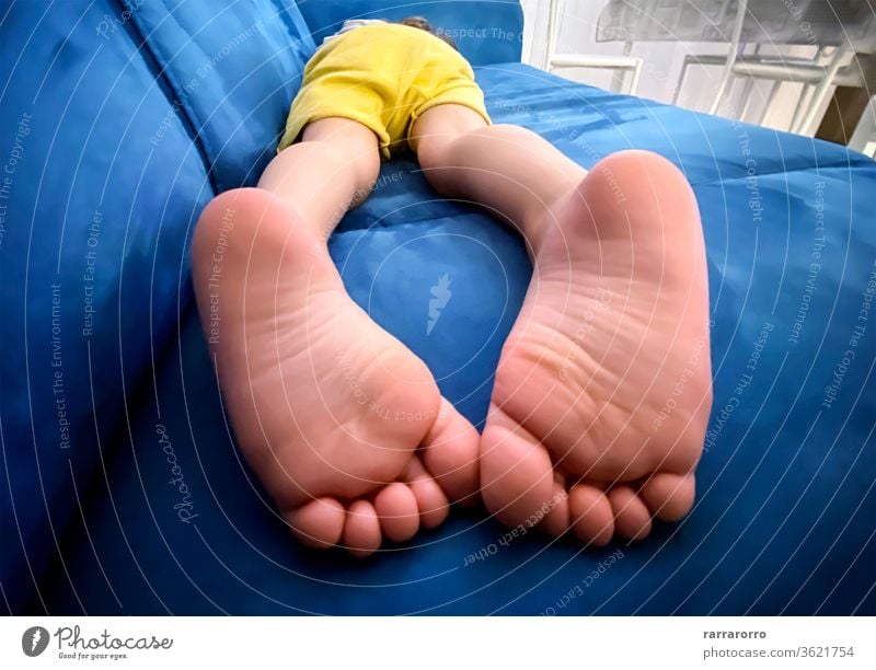 the soles of the feet of a child lying prone on a blue sofa. baby childhood barefoot laziness horizontal couch yellow day cute body care white sleeping small