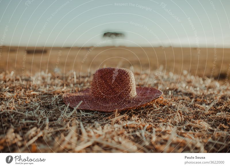 Straw hat Field Horizon Horizontal Summer Summer vacation Travel photography travel Vacation & Travel Hat Style Colour photo Nature Tourism Design Woman