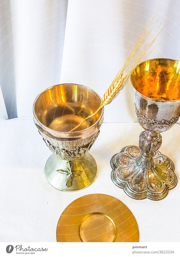 ear of wheat for bread which becomes the body of Christ and chalice to house wine, the blood of Christ. corn altar mass pyx goblet contain hosts communion