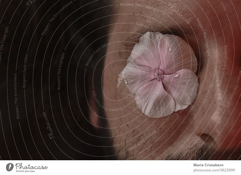 Portrait of a man with a flower over his closed eyes to show concept of wellness, mindfulness, Spring season and sensuality conceptual portrait spring season