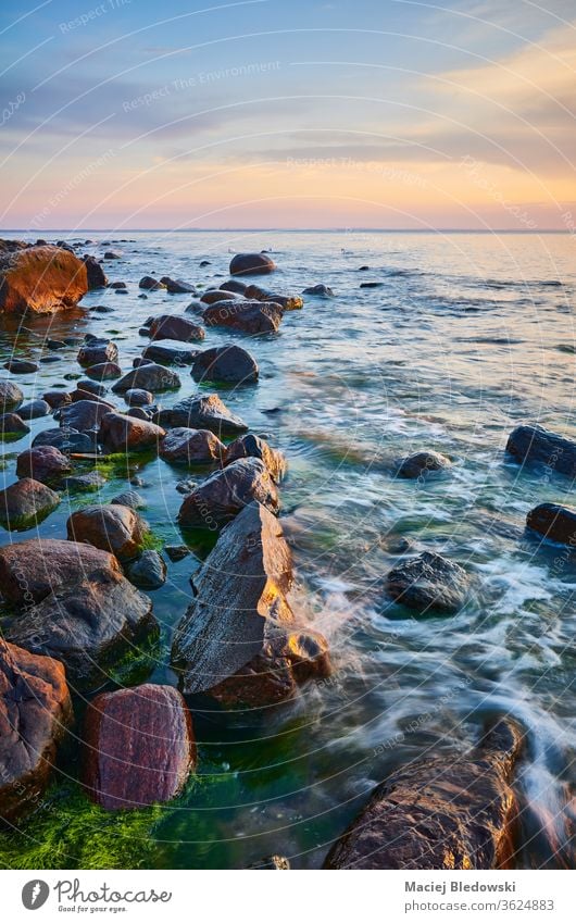Seascape with rocks in water at sunset. nature sea ocean beautiful beach sky horizon summer travel peaceful wave seaweed