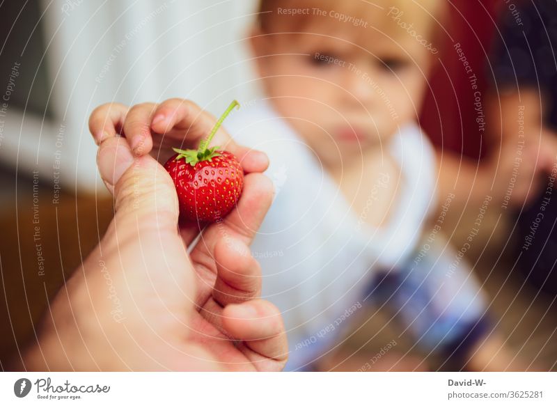 Child gets a strawberry from father Strawberry Time fruit tidbit already berry fruit fruit varieties Fruit cake garnered Collector Summer's day Summery reap