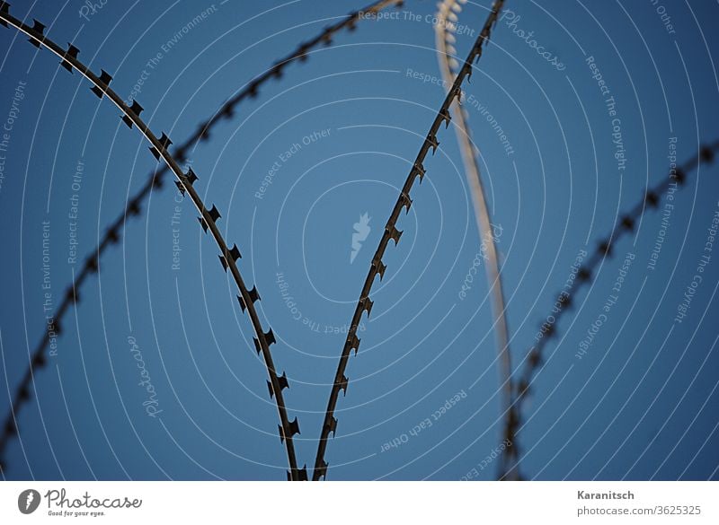 A barbed wire fence against a blue background. Barbed wire fence Fence Wire Metal Black Gray Protection guard sb./sth. Boundary Border Exclude Confine