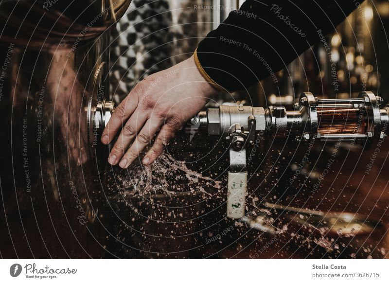 Winemaker removes the hose of the bottling plant and the wine splashes around Interior shot Vine Winegrower Deserted Alcoholic drinks Colour photo