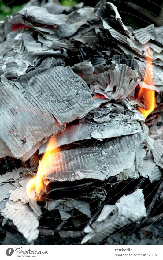 burnt paper ashes