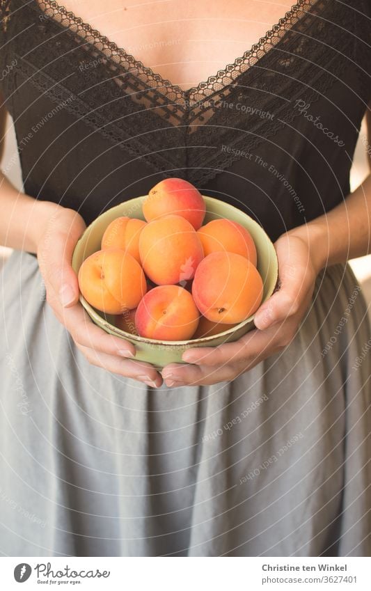 young woman holding a bowl of fresh apricots in front of her Apricots Summer Fruit Juicy Fresh Vitamin Healthy Eating Young woman fruit Hand To enjoy Nutrition