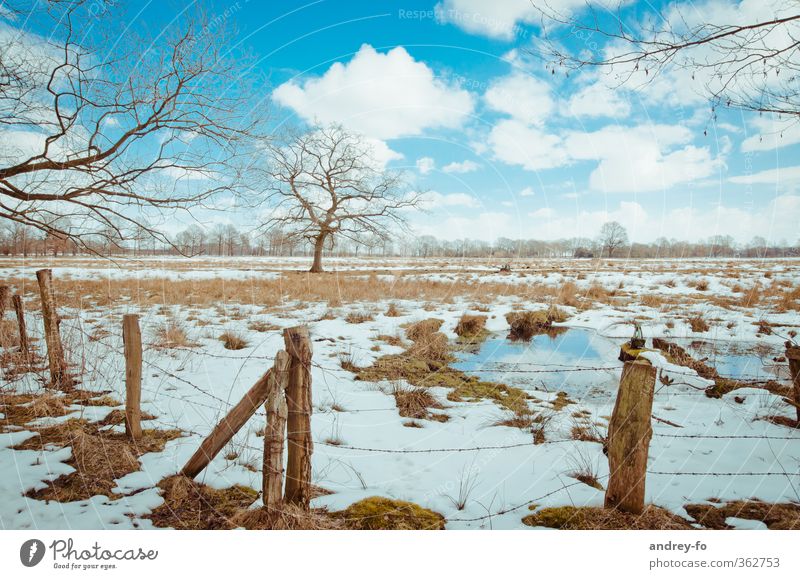 spring Nature Landscape Earth Water Sky Clouds Horizon Spring Winter Beautiful weather Ice Frost Snow Tree Grass Moss Meadow Field Cold Natural Blue Brown White