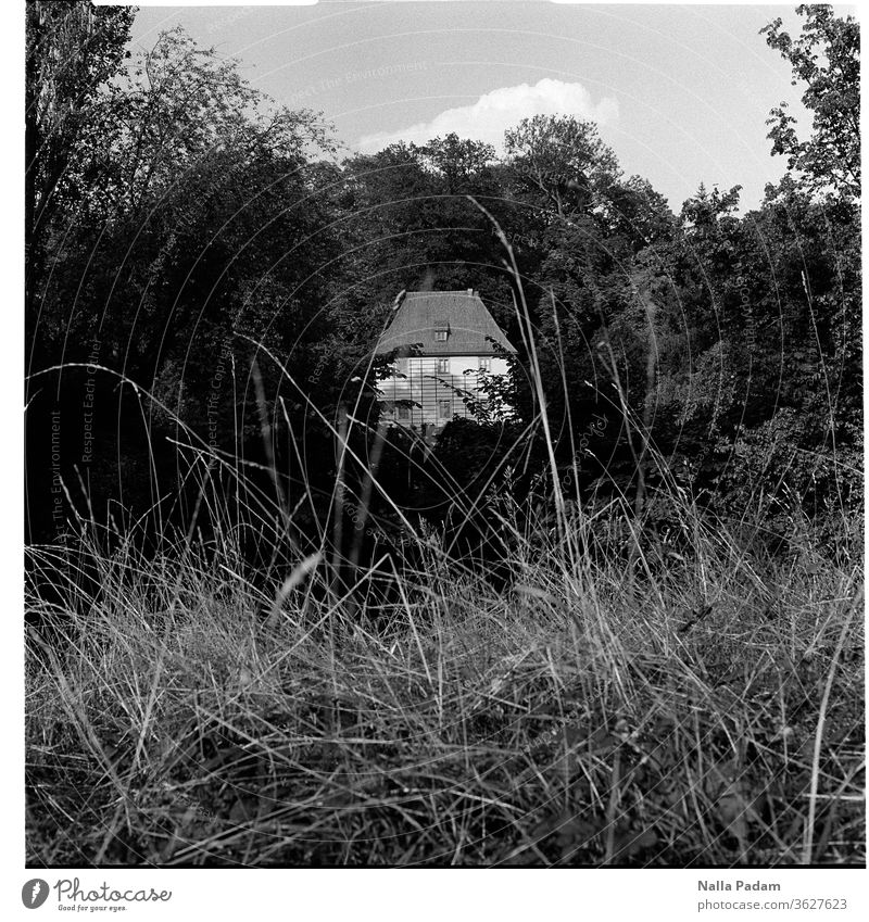Writer stay Analog Medium format House (Residential Structure) 6x6 Vacation & Travel Roll film Square Loneliness Grass Park Ilmpark Park on the Ilm Gardenhouse