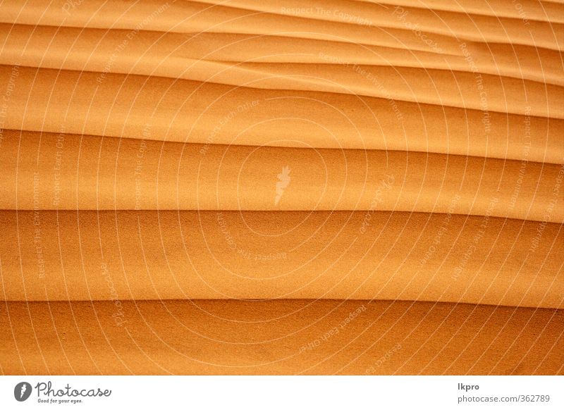 sand in the desert of tunisia Sand Line Stripe Brown Black Consistency Tunisia Sahara wave colos Ruler Exterior shot