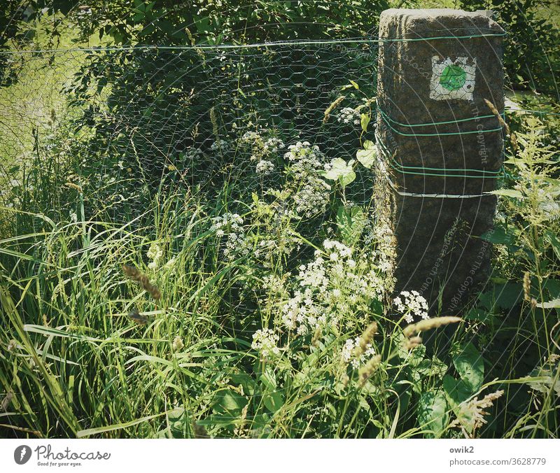 Old landmark Stone Pole hiking trail Sign Clue Point green Green recycling point Fence Wire Wire fence Narrow close-knit Protection Barrier Boundary Grass