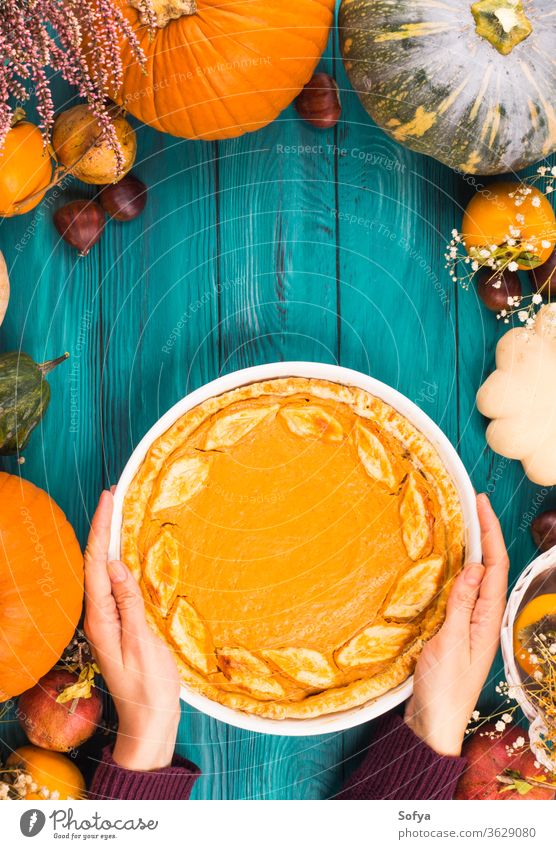 Pumpkin pie, different pumpkins, fall fruit background pumpkin pie woman hands cake frame food halloween above invitation leaves moody november october holiday