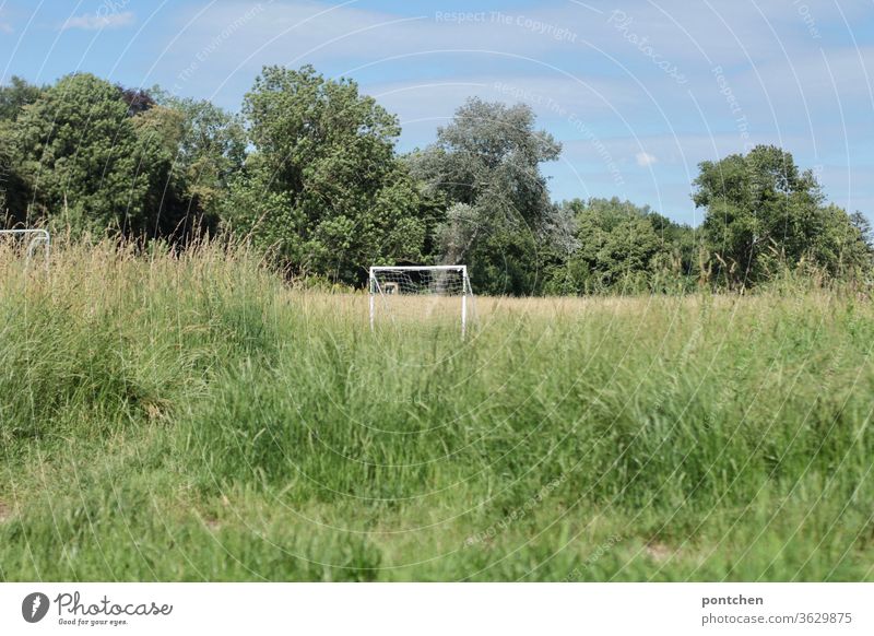 White soccer goal in high grass in front of trees and blue sky. Leisure sports Soccer Goal Grass Landscape recreational sport Sports green Sporting Complex