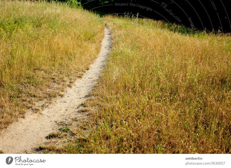 beaten path Trip Meadow holidays Grass Nature Lawn vacation Growth Hiking hiking trail off Curve To go for a walk Dry aridity Summer