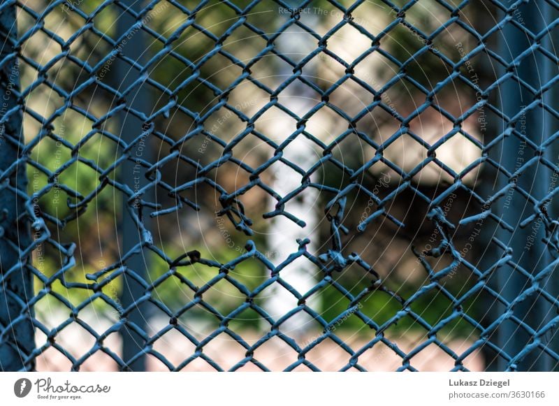 Fragment of a mesh fence with a hole outdoor danger wire mesh outbreak crime escape chain link old forbidden crack wired breakout netting safety thieves element