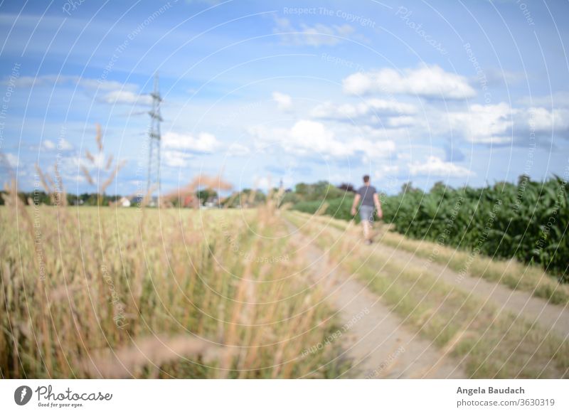 Man walks on field path stroll off the beaten track To go for a walk strollers Promenade Walk in the nature Blue sky Clouds Electricity pylon stream