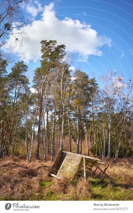 Fallen hunting pulpit on the edge of a forest and clearing. nature overturned fallen tower destroyed tree grass day sunny sky stand outdoor season landscape