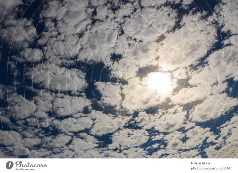 sky with many small clouds, sun shines through the clouds Sky Blue sky Summer Beautiful weather Clouds Sunlight Weather little cloud Back-light
