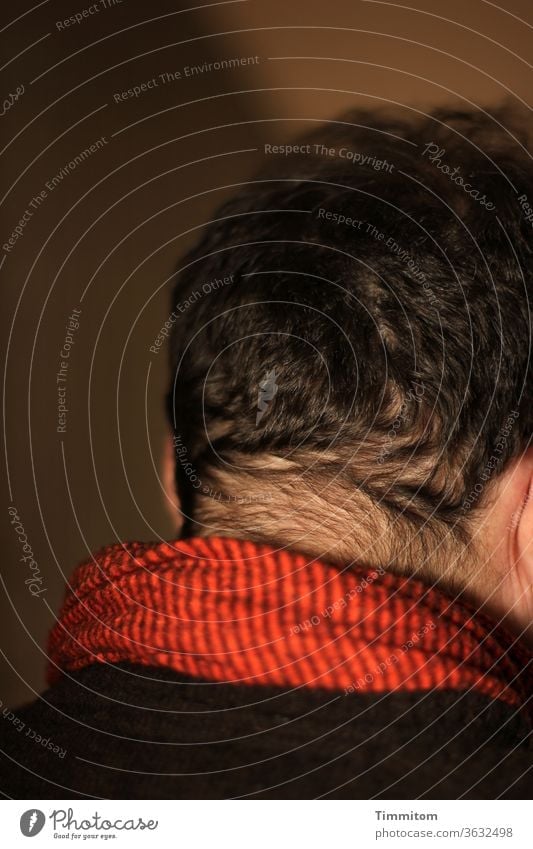 Neck hair - Man, middle age neck hairs Hair and hairstyles Nape Middle-aged Human being Colour photo Head Skin Rear view Interior shot