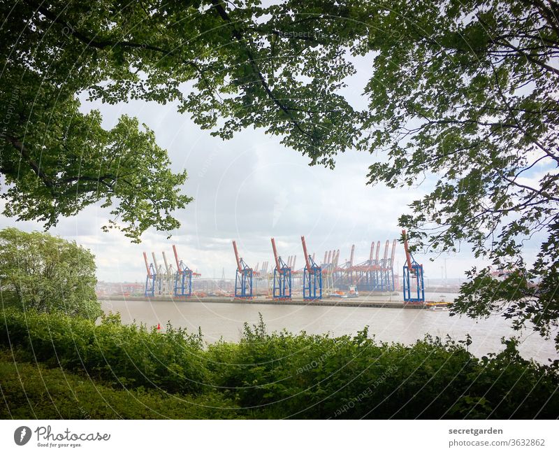 Crane idyll through leaf windows in Hamburg. Wanderlust Twigs and branches container port Building Branches and twigs Container terminal Container ship Shadow