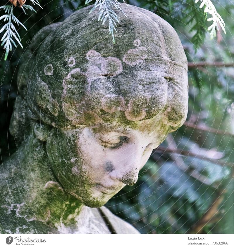 The lady smiles, made of stone for decades... Cemetery Statue smilingly clearer Smooth transient green Light Summer Sun enchanting Exterior shot Colour photo