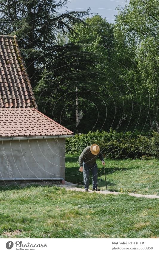Old vaulted man with hat and cane on a path old man garden house Man Garden Grass Green Exterior shot Human being Male senior Adults Nature Senior citizen