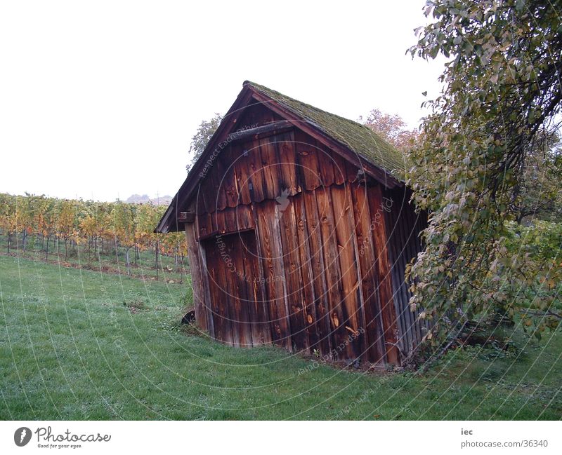 Cottage in the vineyards Vineyard Wooden hut Loneliness Federal State of Burgenland Leisure and hobbies Hut