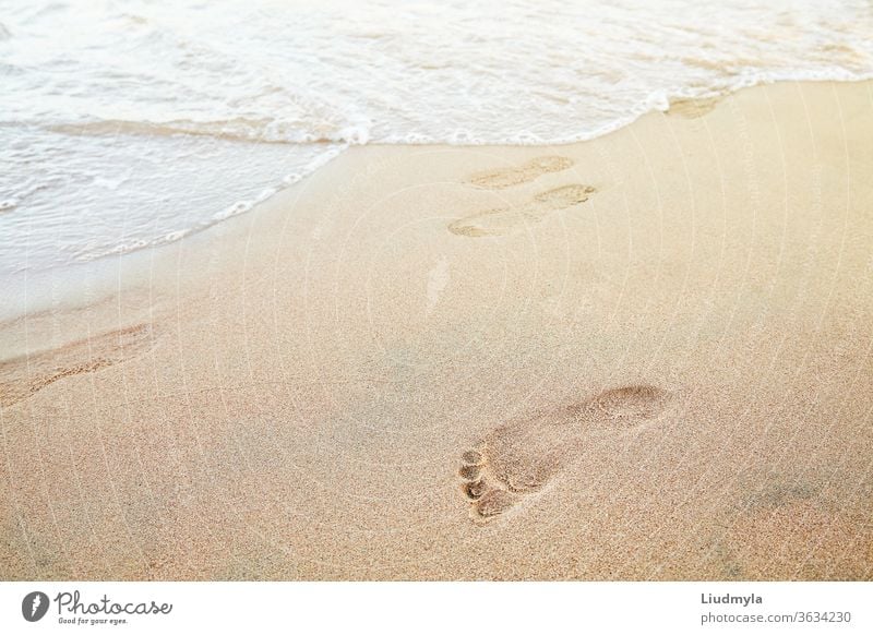 Foot prints on the beach of a seashore near the sea alone aqua background barefoot bay calm coast coastline destination explore flow footprint footprints