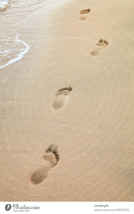 Foot prints on the beach of a seashore near the sea alone aqua background barefoot bay calm coast coastline destination explore flow footprint footprints