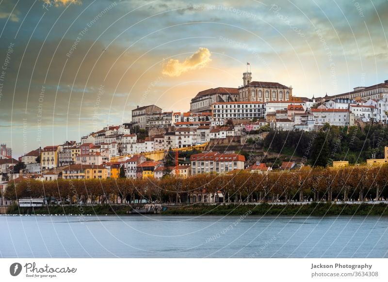 Coimbra cityscape by sunset, Portugal coimbra portugal river architecture downtown street house green garden nature unesco world heritage summer skyline