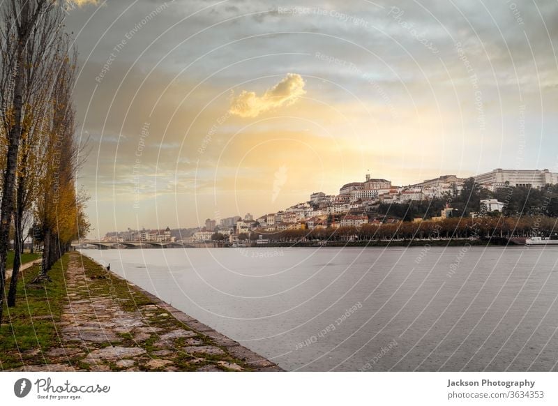 Coimbra cityscape by sunset, Portugal coimbra portugal river architecture downtown street house green garden nature unesco world heritage summer skyline