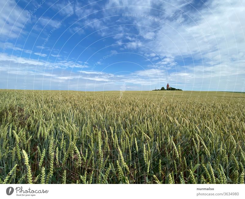 Immature with tower Field Grain Lighthouse acre Agriculture North Beacon Island grain Nature Sustainability green neat Sky