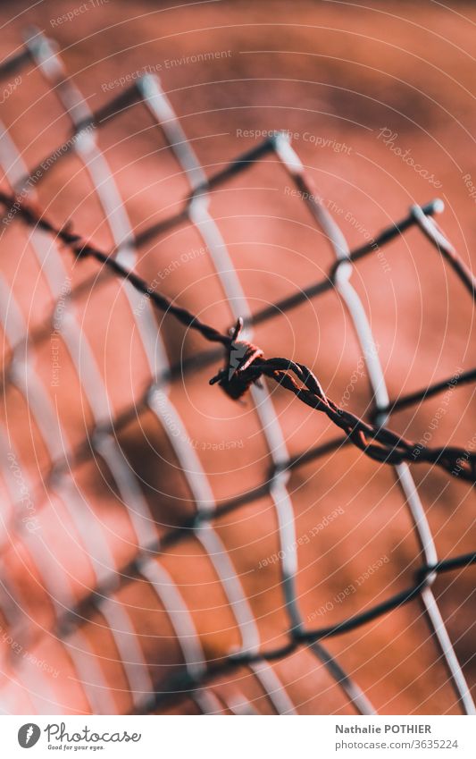 Wire mesh and barbed wire Barbed wire fence Metal rusty old Grunge Close-up Fence Dangerous Exterior shot Captured