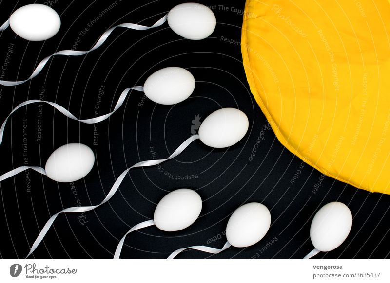 Fertilization of an egg cell (ovum) replica Sexuality reproductive cells Sperm Egg cell cubicles fertility Fertile Reproductive Medicine Reproductive Biology
