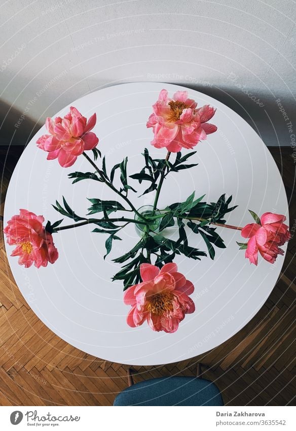 Flowers on the table at the kitchen from above flower peony clock pink green home bouquet white minimal flowers cosiness Colour photo Decoration Plant