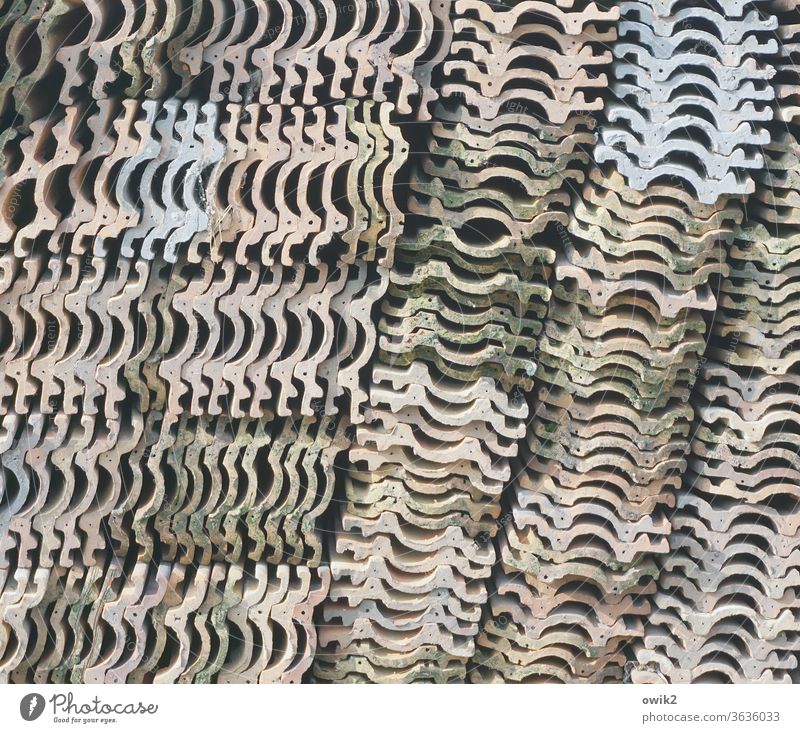 Working group Old roofing tiles Heap stacked Many Stack quantity Pattern Exterior shot Abstract Colour photo Detail Arrangement Subdued colour Together System