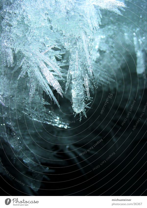 ice crystals Ice crystal Fascinating Water Detail Macro (Extreme close-up) Star (Symbol) Snow