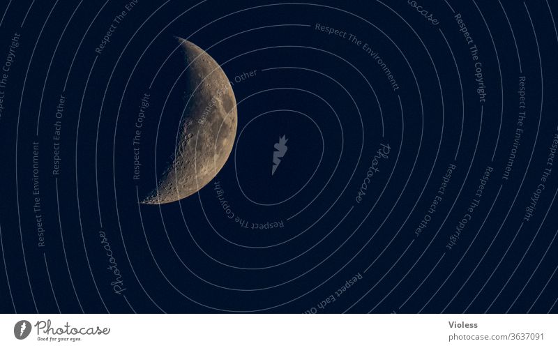 luna Moon Full  moon Night conceit Super Full Moon Illuminate Planet Universe all crater Sky