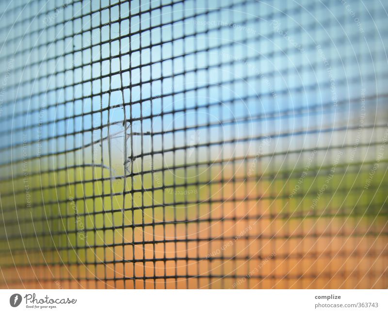 Fly screen without fly - a Royalty Free Stock Photo from Photocase