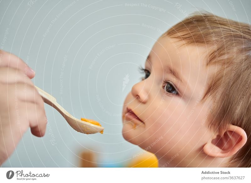 Mother feeding little kid with puree baby eat mother food toddler fresh healthy natural meal child cute childhood hungry nutrition care tasty delicious diet