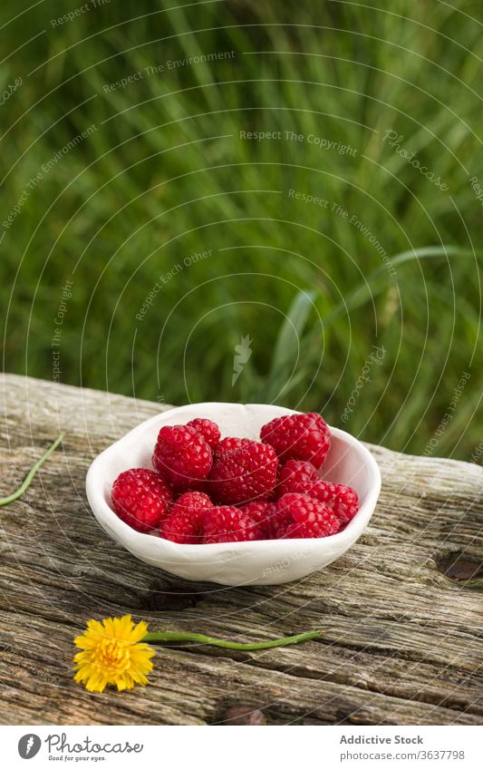 Bowl with fresh fruits in countryside ripe raspberry rustic berries bowl delicious natural tasty ceramic wooden table garden organic food healthy vitamin summer