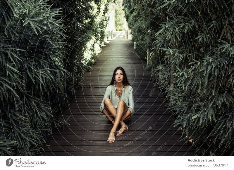 Calm woman on wooden path in park garden peaceful relax charming calm summer female tree pathway green sunny casual nature rest harmony serene lady young sit