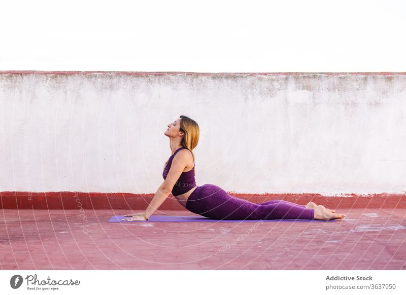 Concentrated woman doing yoga in Cobra pose flexible practice mat Vajrasana cobra pose wellness concentrate female terrace leggings body harmony slim healthy