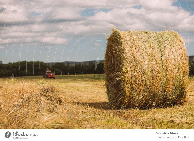 Hay roll on dry grass in field hay haystack harvest agriculture sunny dried nature rural summer idyllic landscape harmony cloud calm environment meadow cloudy