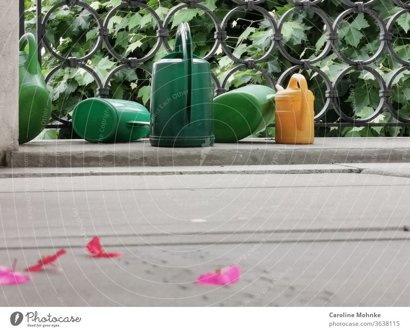 Watering cans waiting for their use at a municipal cemetery watering cans Cemetery rose petals Tombstone Resting place Death weaker Grave Transience