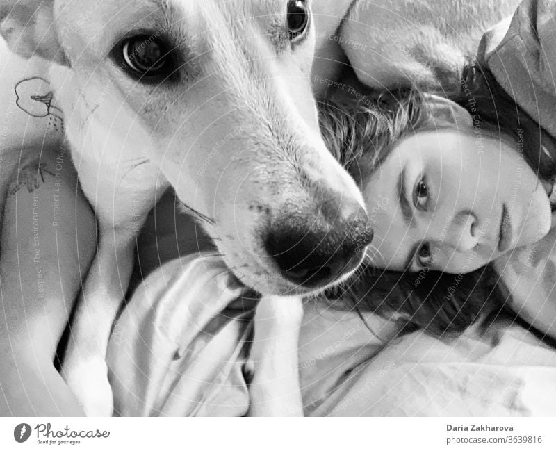 Family selfie in the morning at the bed with a beloved dog Girl Woman Portrait photograph Dog Pet Selfie Morning Bed in bed Black & white photo bw