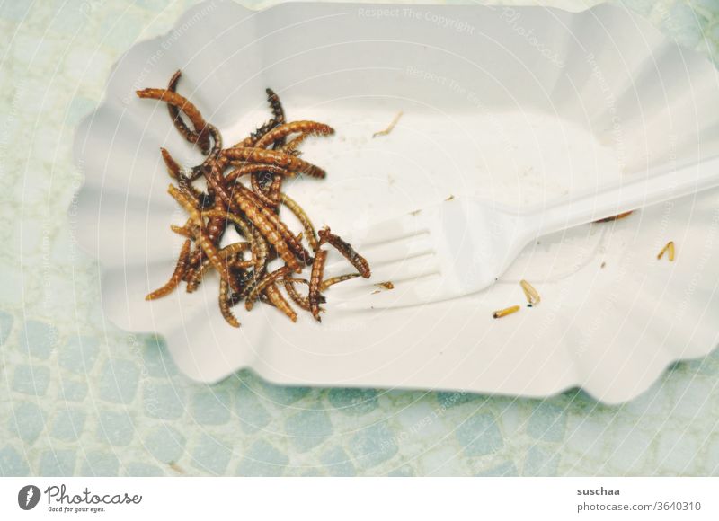 fried worms on a paper plate Bon appetit Worms Nutrition Food Meal Eating paper plates mealworms Creepy Unappetizing Delicious Snack Fast food disgusting