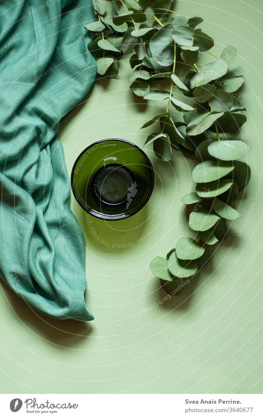 Green-Green-Green green Colour Cloth bowls Curtain Plant flatlay Design Decoration
