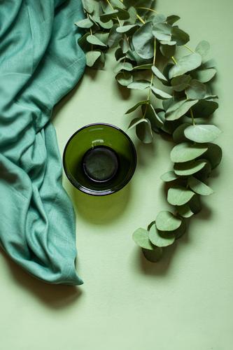 Green-Green-Green green Colour Cloth bowls Curtain Plant flatlay Design Decoration
