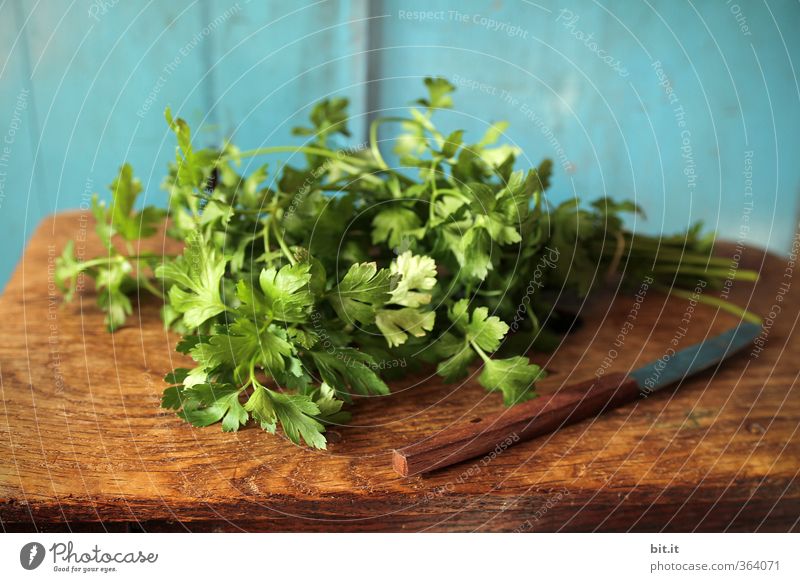 parsley Food Herbs and spices Nutrition Organic produce Vegetarian diet Knives Kitchen Fresh Healthy Blue Green To enjoy Parsley Aromatic Kitchen Table